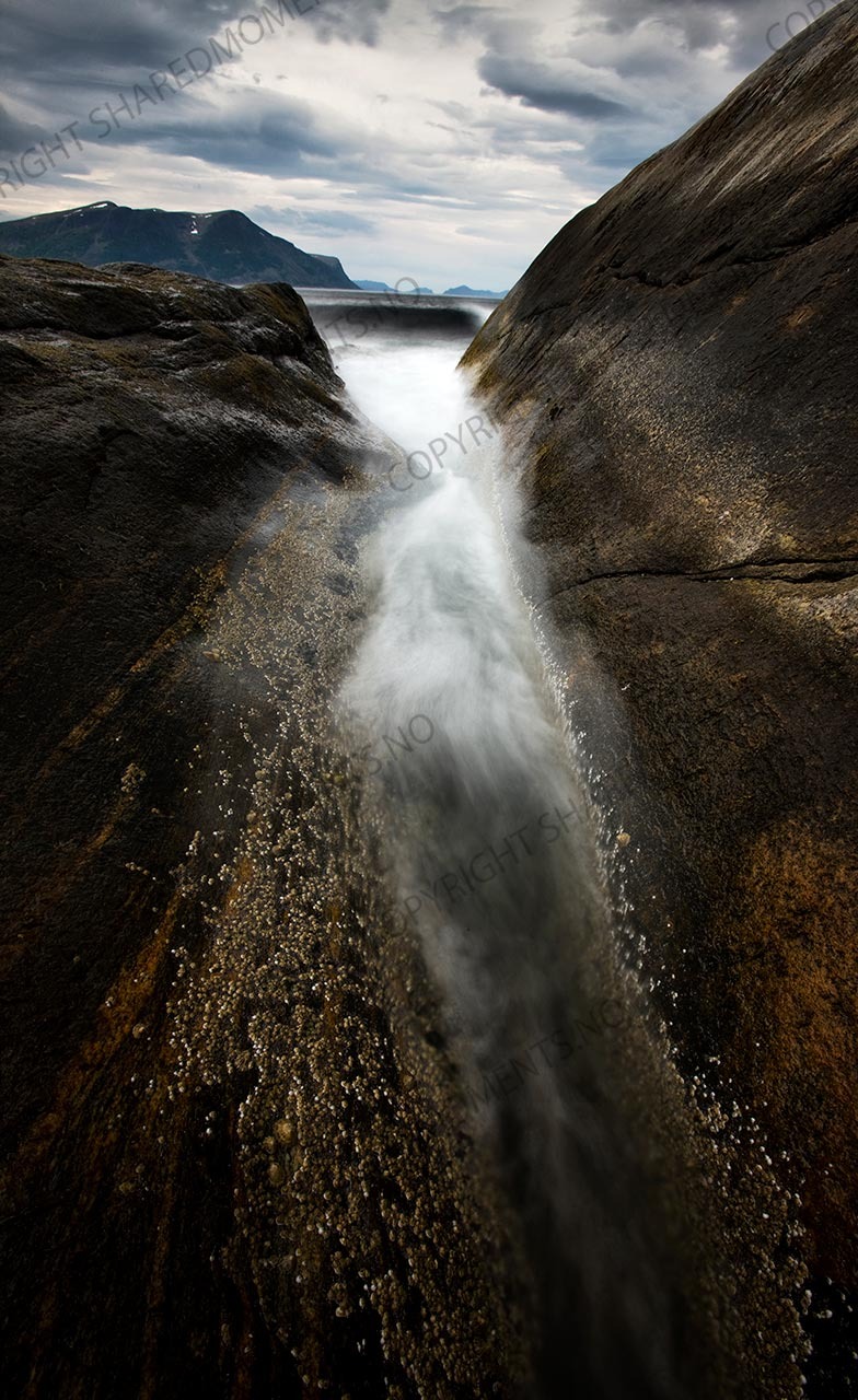 Shared Moments kunstfoto